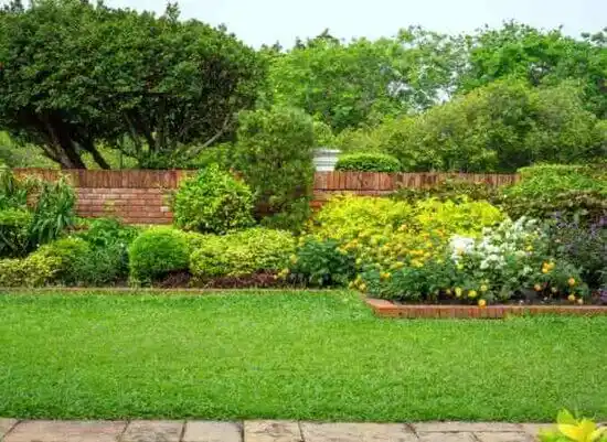 landscaping services New Bern